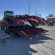 Image – 2026-02-09T083702.718