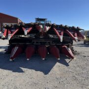 Image – 2026-02-09T083706.322