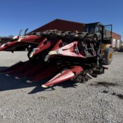 Image – 2026-02-09T083721.119