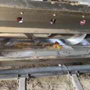 Image – 2026-02-09T091938.372